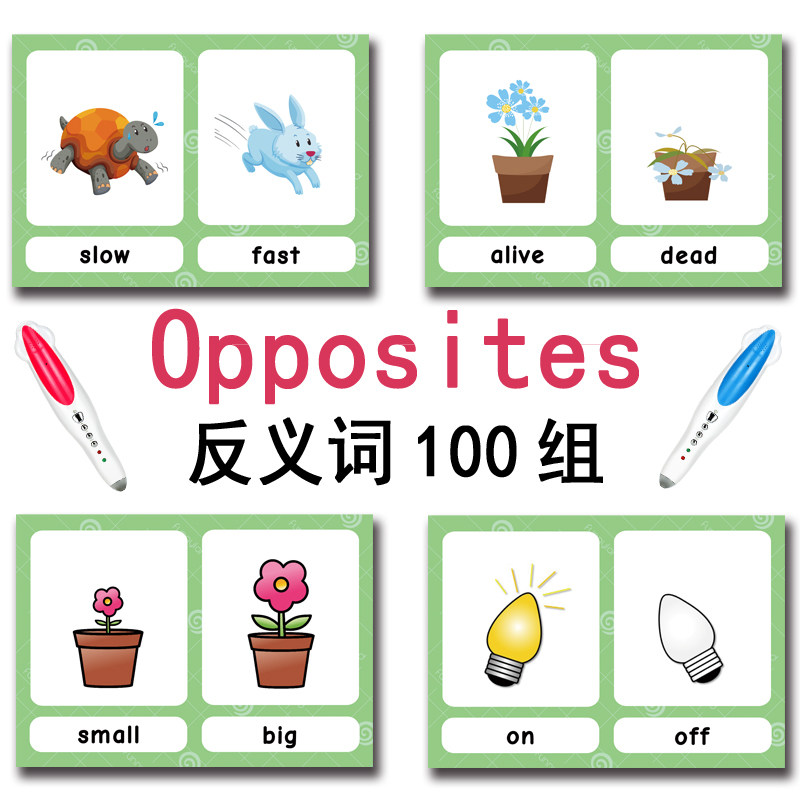 The 100 Groups Opposites Flash - đánh giá và giá Board Game English