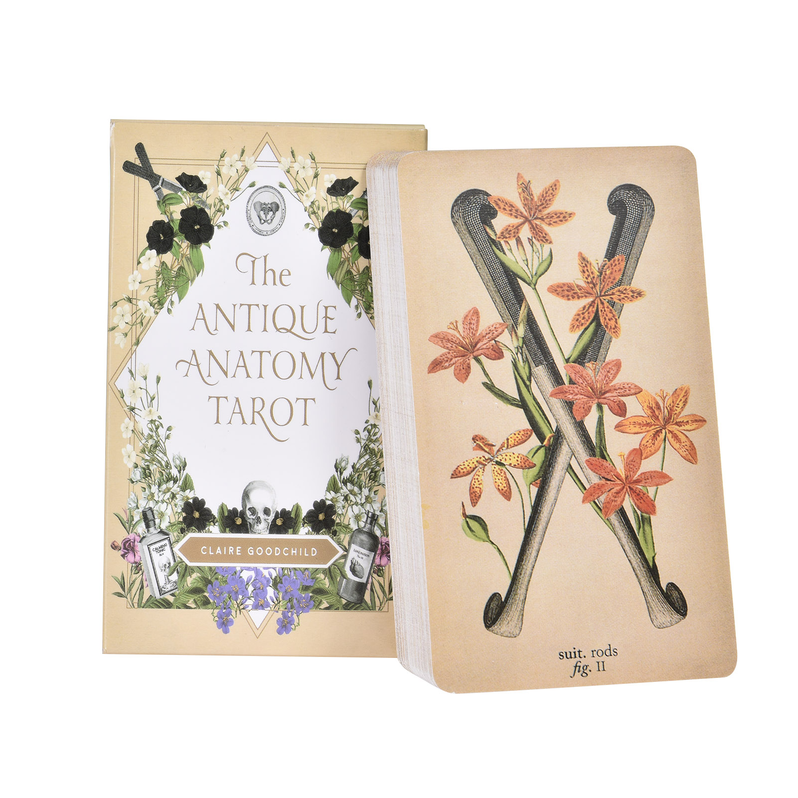 The Antique Anatomy Tarot Card - đánh giá và giá Board Game Oracle