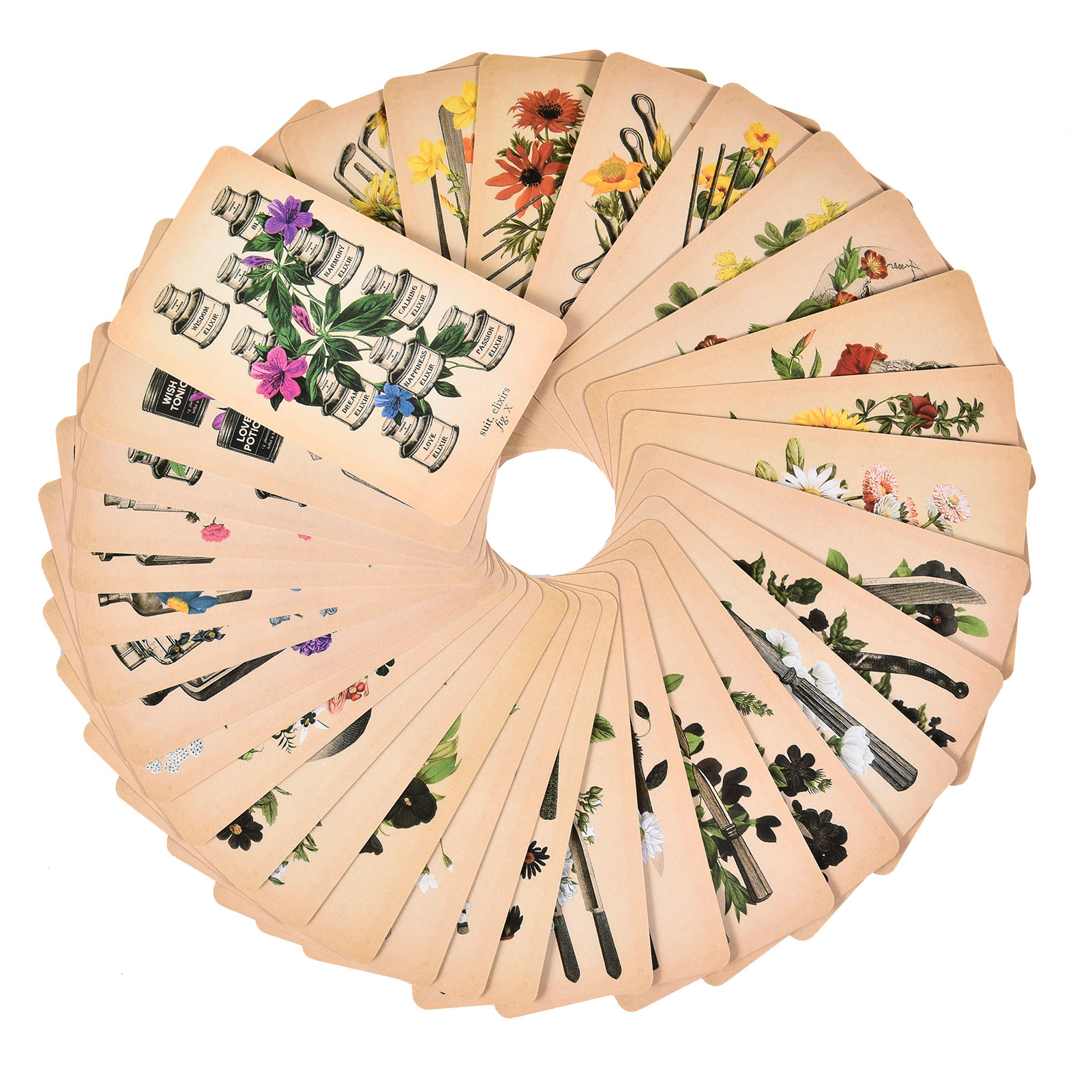 The Antique Anatomy Tarot Card - đánh giá và giá Board Game Oracle